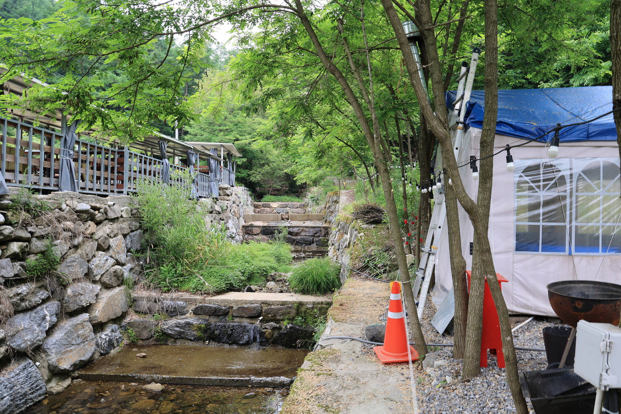 유명산고모네캠핑장