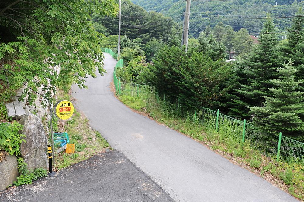 유명산 계곡 캠핑장