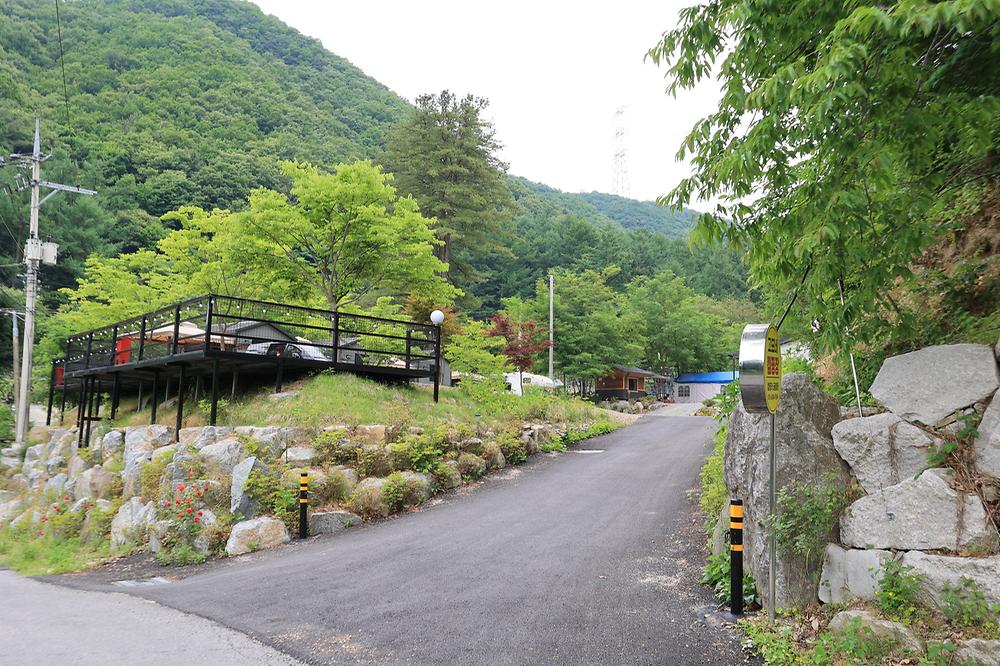 유명산 계곡 캠핑장