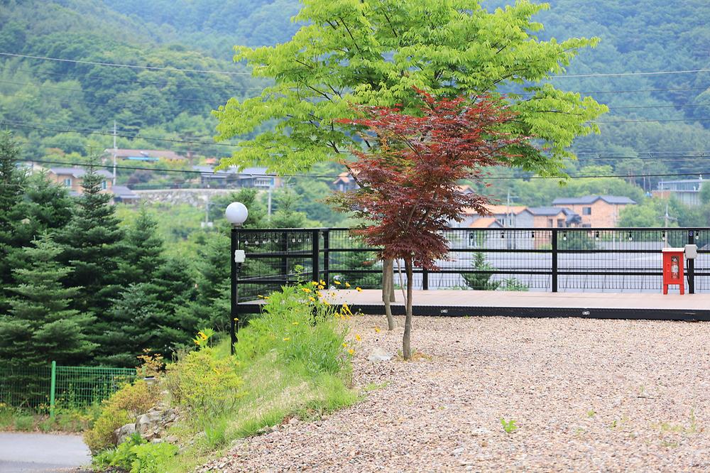 유명산 계곡 캠핑장
