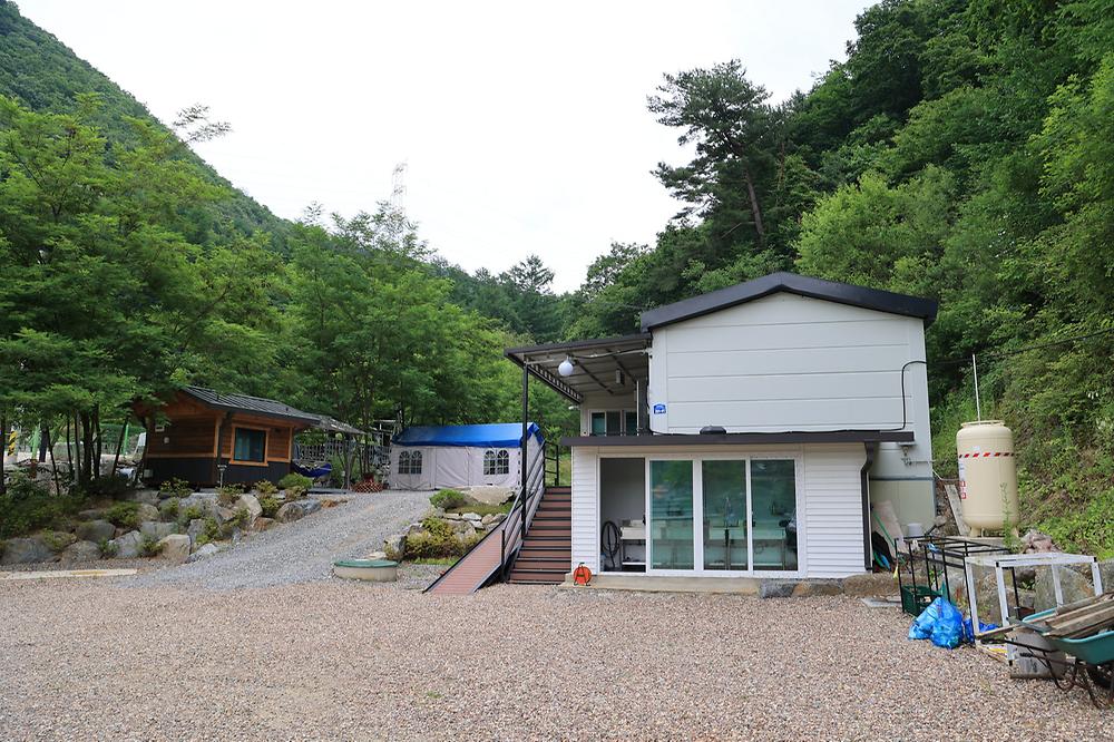 유명산 계곡 캠핑장