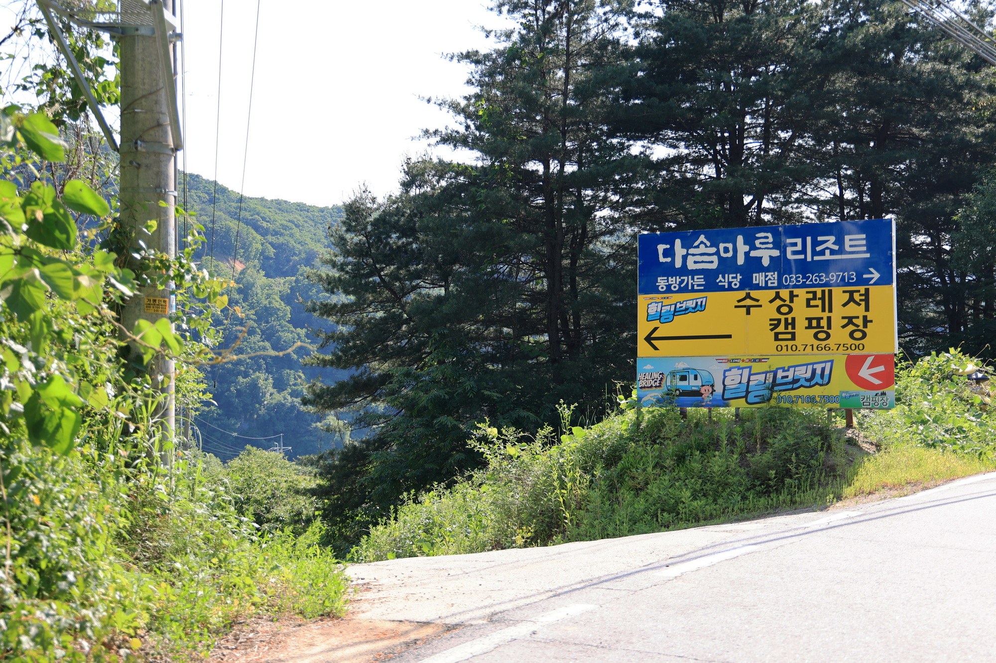 힐링브릿지캠프