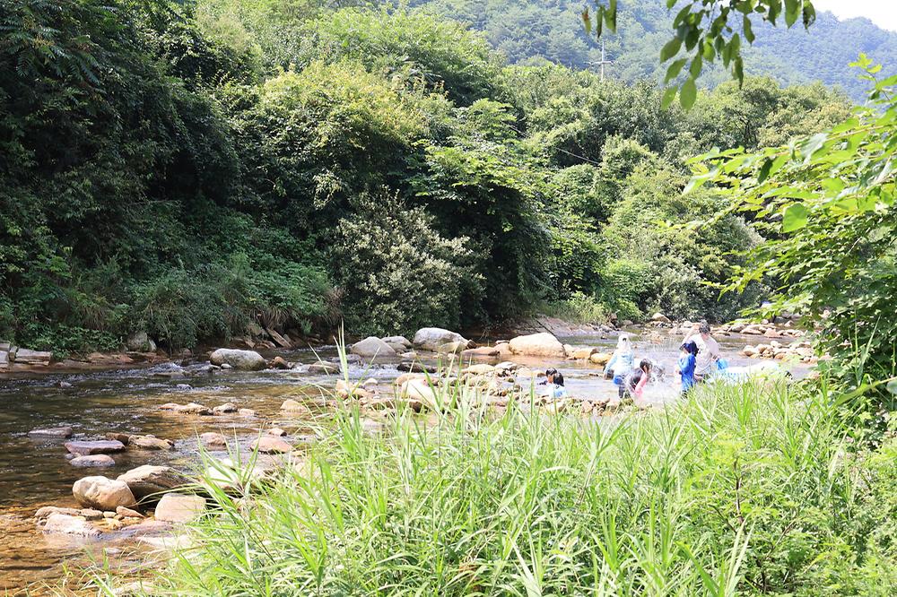 하우스 캠핑장