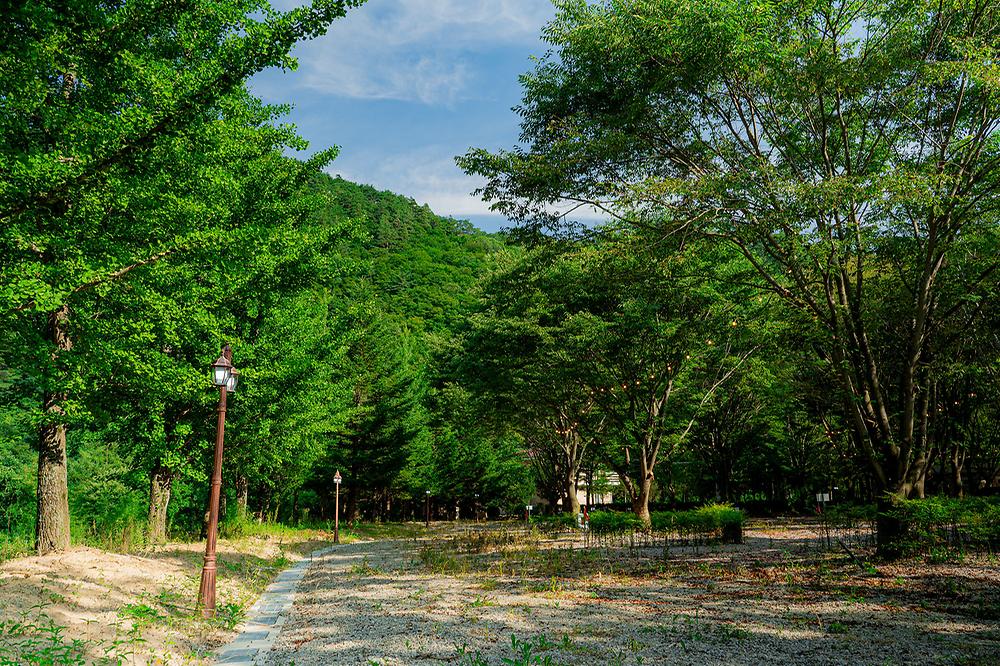 가리왕산 정원 캠핑장