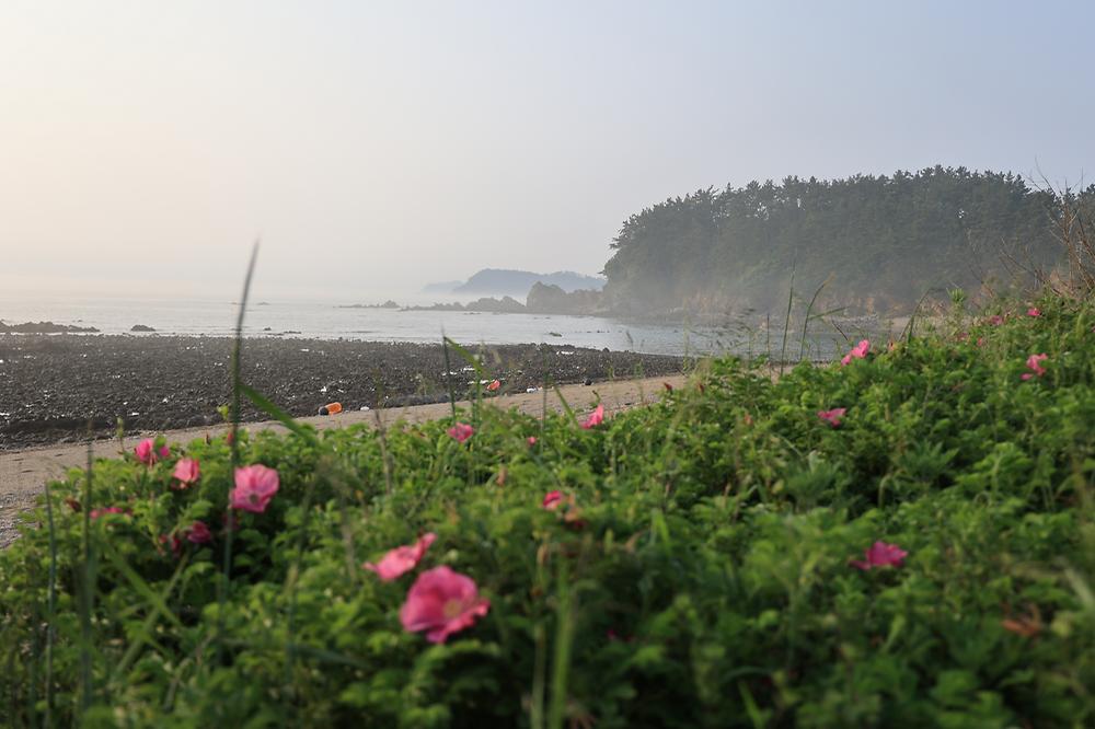 파도와노을캠핑장