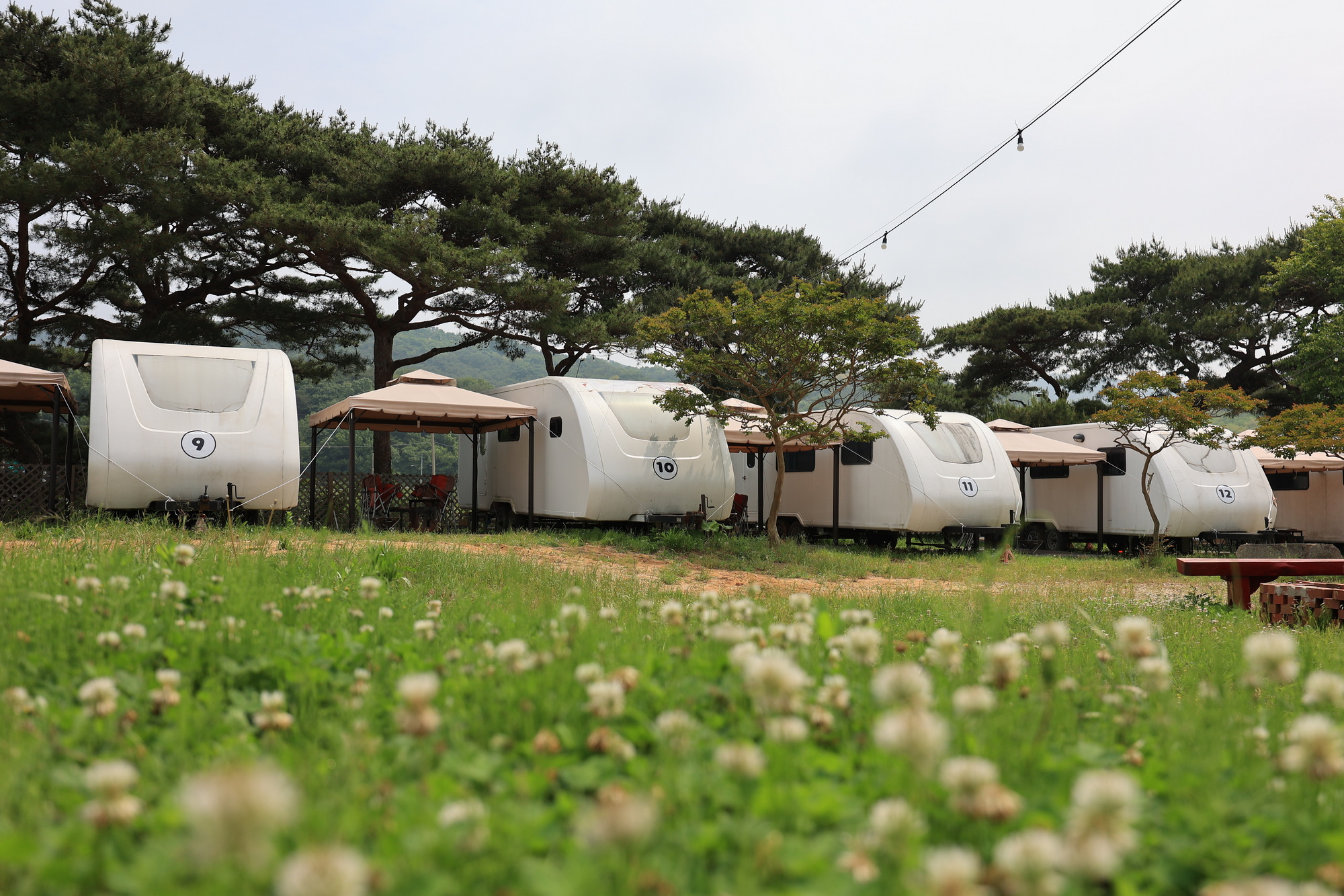 서산클럽아일랜드