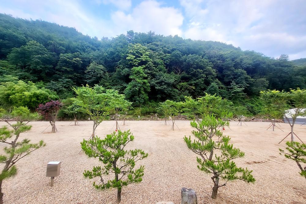가은달빛캠핑장