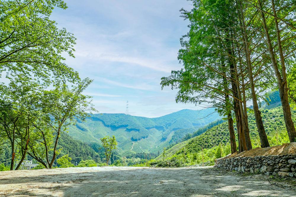 (주)스노우라인캠핑빌리지
