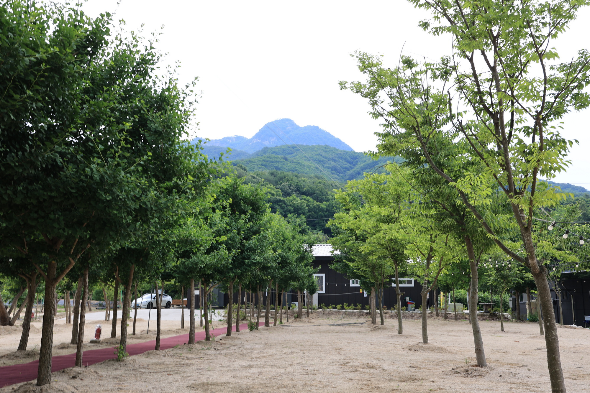 도마치 자연그대로 캠핑장