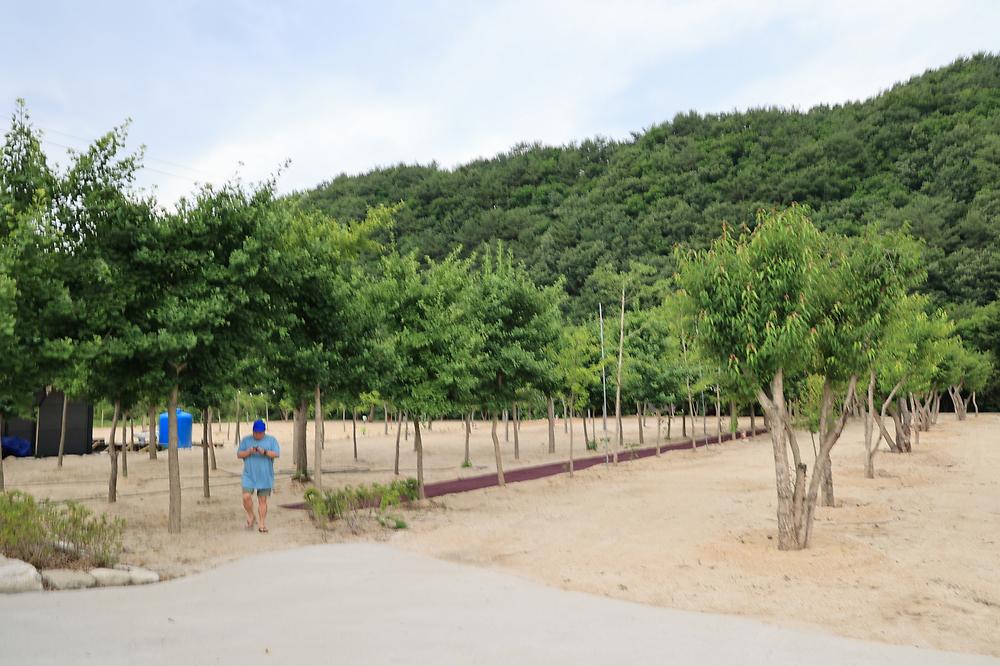 도마치 자연그대로 캠핑장