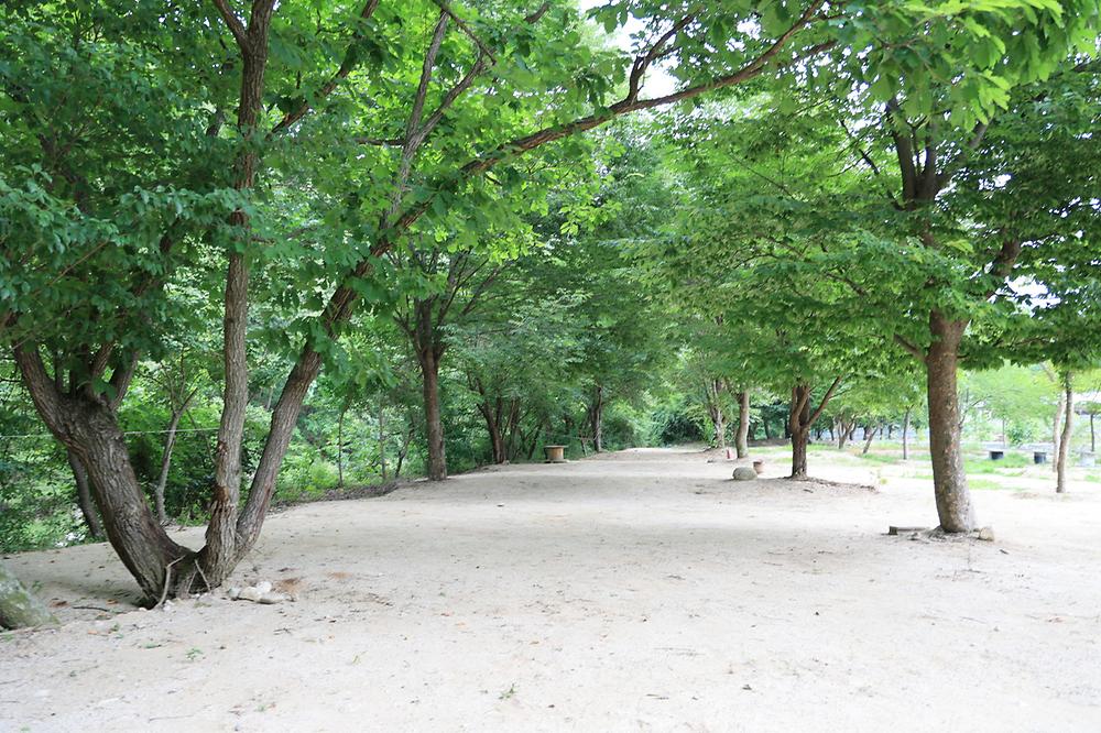 도마치 자연그대로 캠핑장
