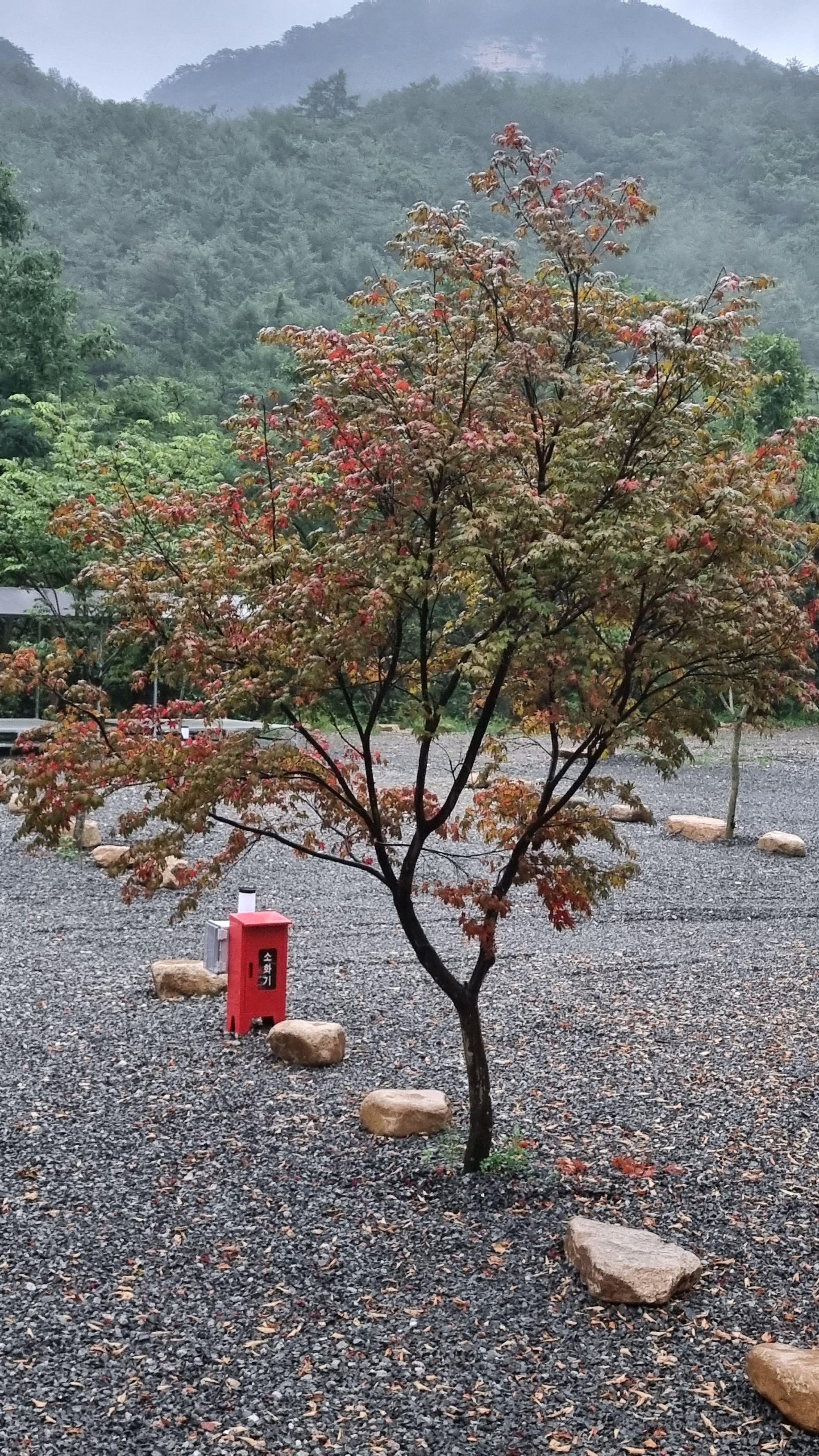 가자우리집