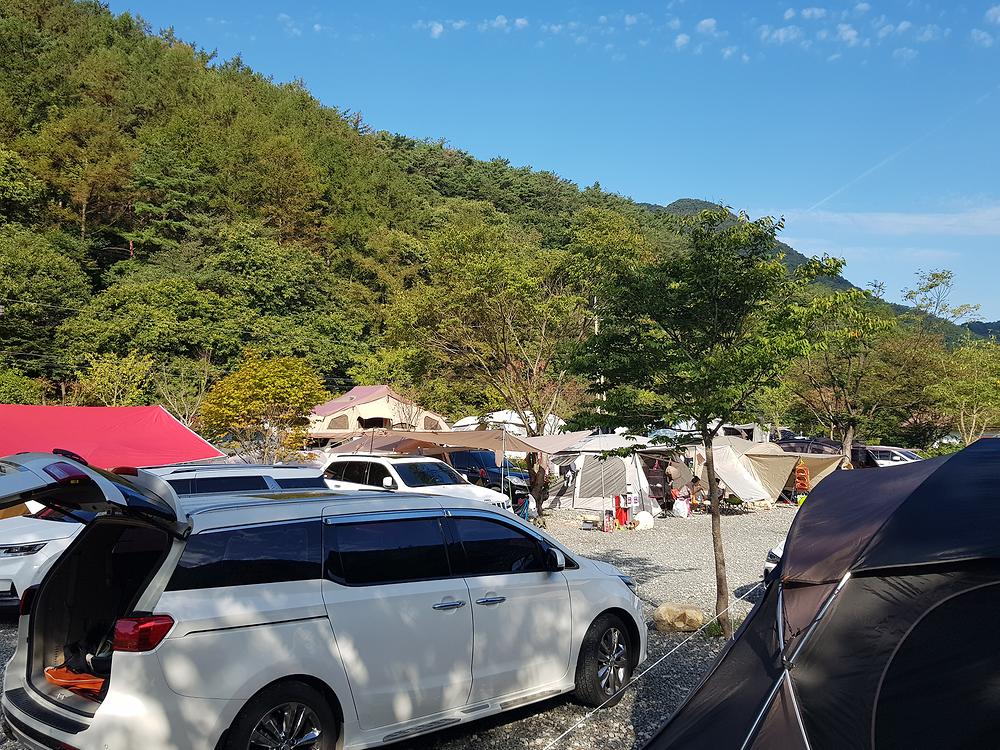 가자우리집