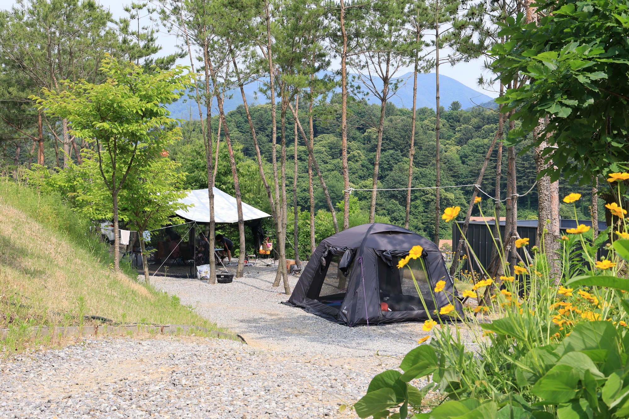 (주)너의아지트가되어줄게