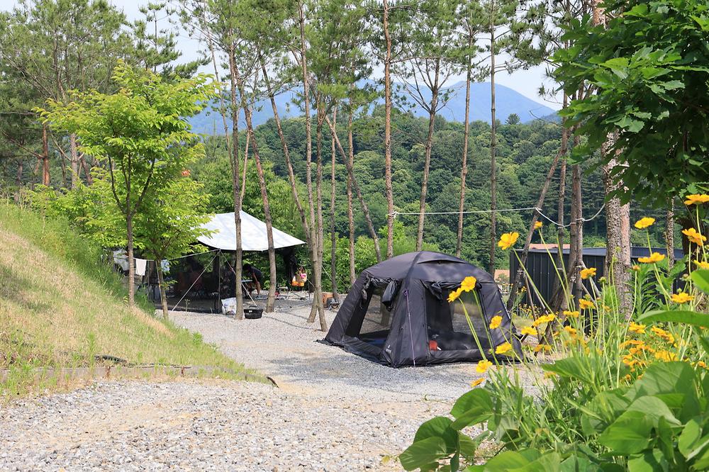(주)너의아지트가되어줄게