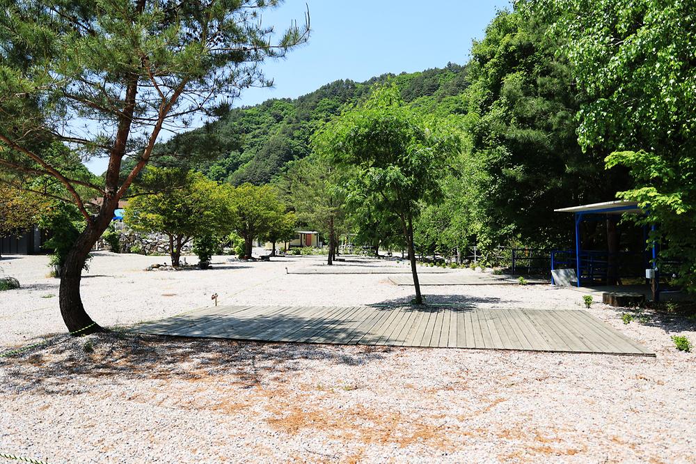 바나나 캠핑장
