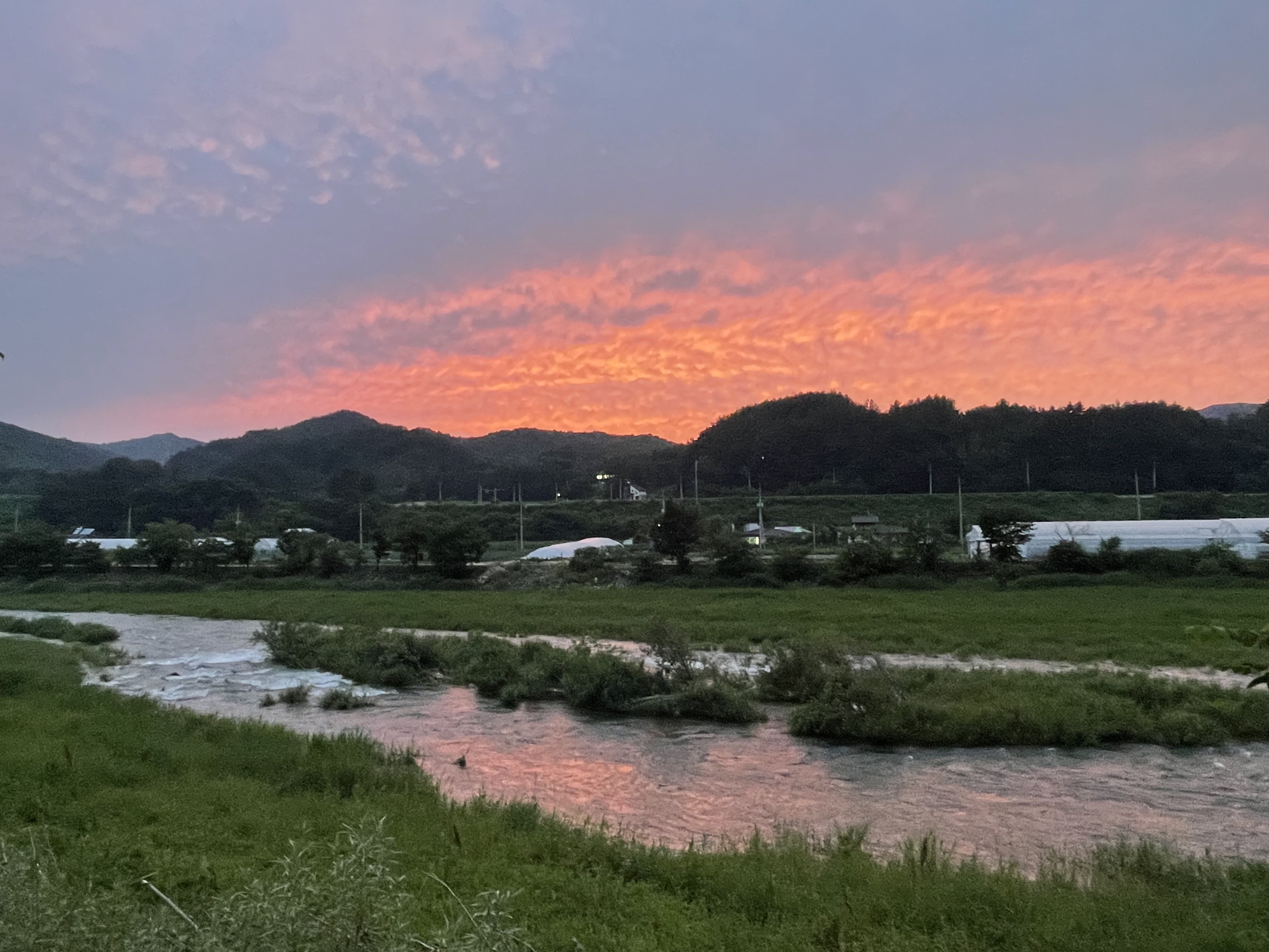 별빛사이