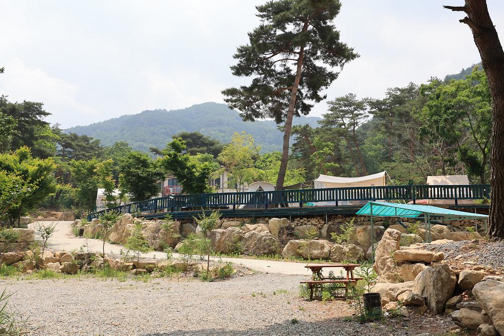 팜스프링 야영장