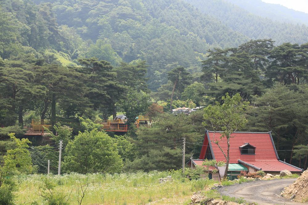 팜스프링 야영장