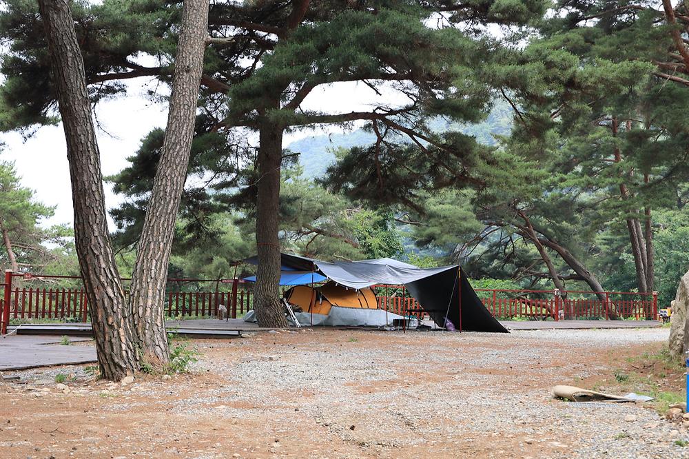 팜스프링 야영장