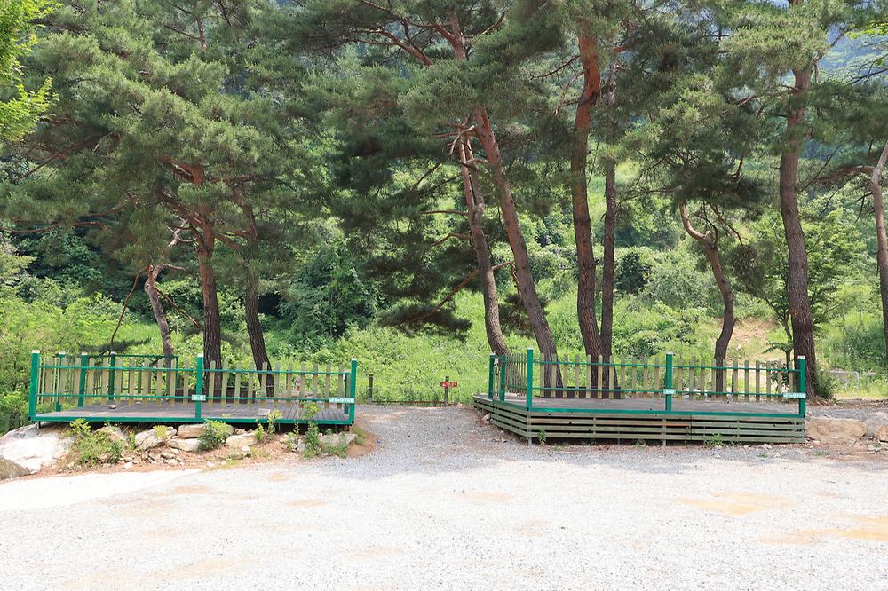 팜스프링 야영장