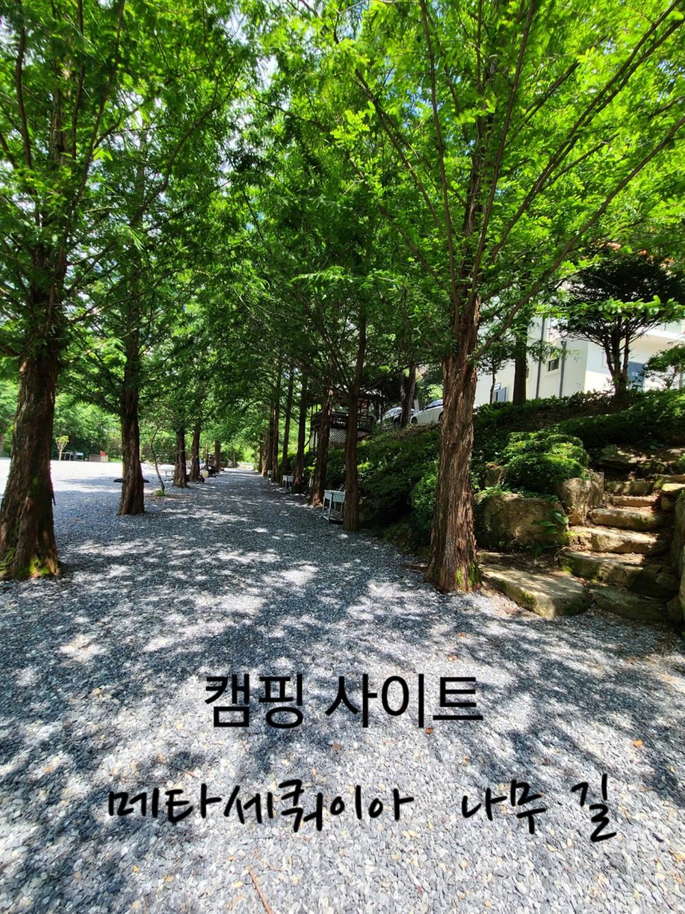 더좋은날n캠핑
