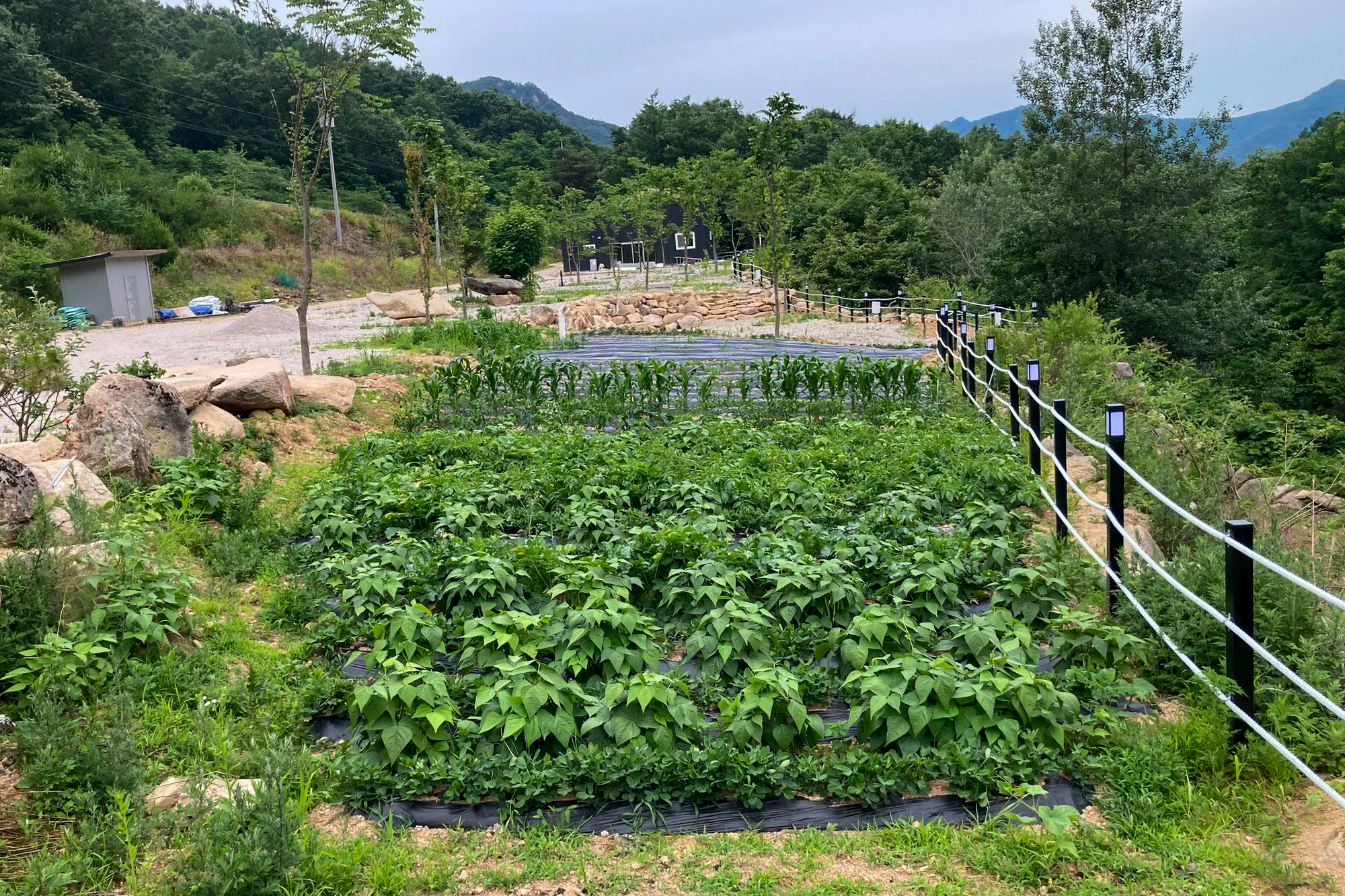 문장대 사계절캠핑장