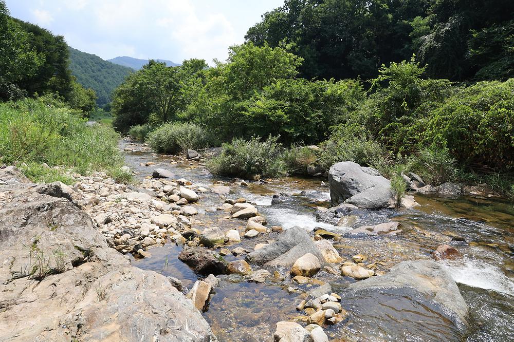 가자 GO캠핑 야영장