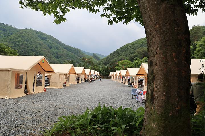 키즈락 캠핑장
