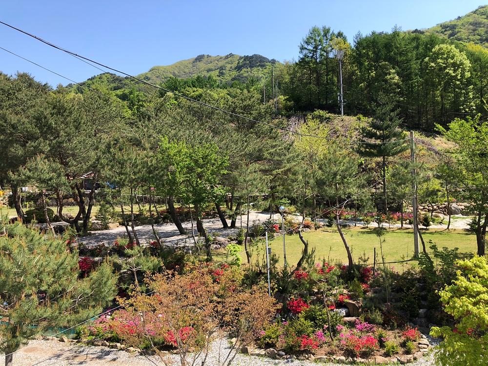 덕동리301캠핑장