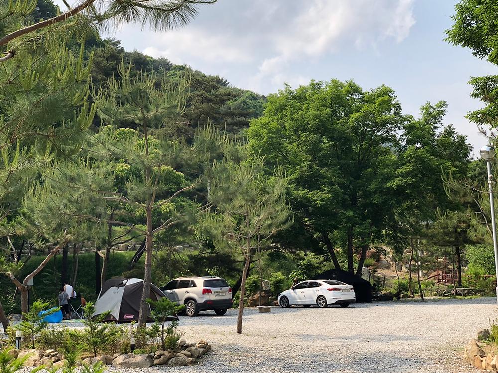 덕동리301캠핑장