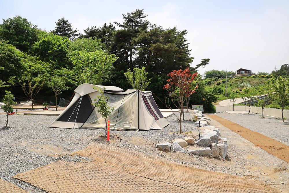 월든캠프