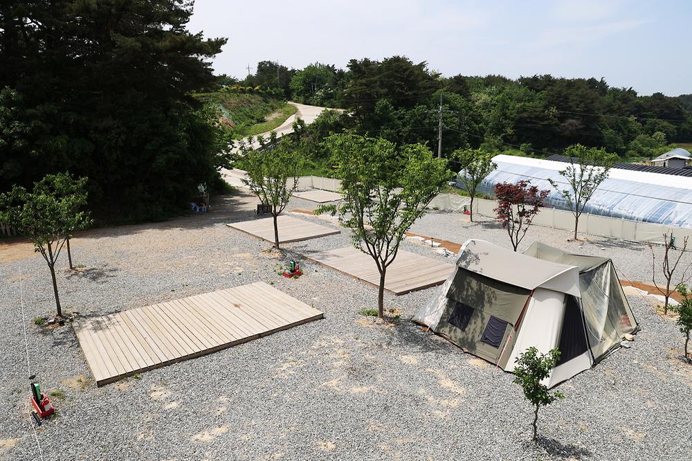 월든캠프
