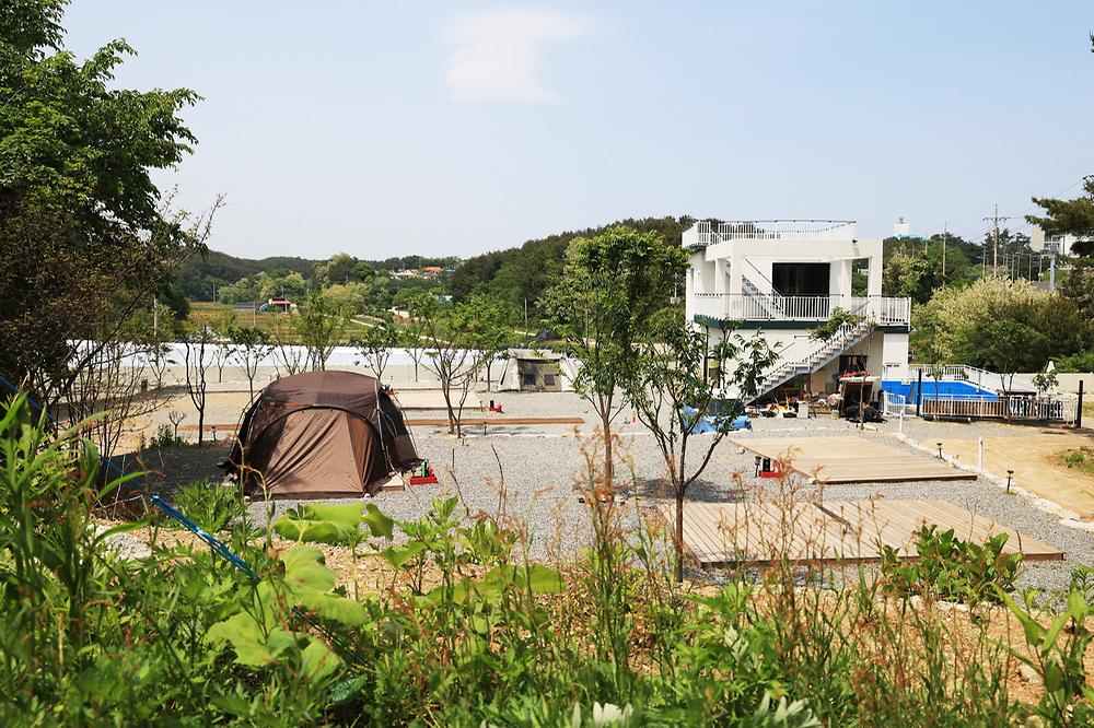 월든캠프