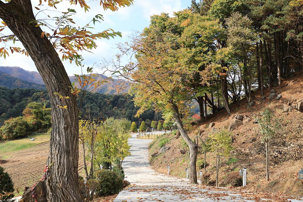 금동휴양림캠프3