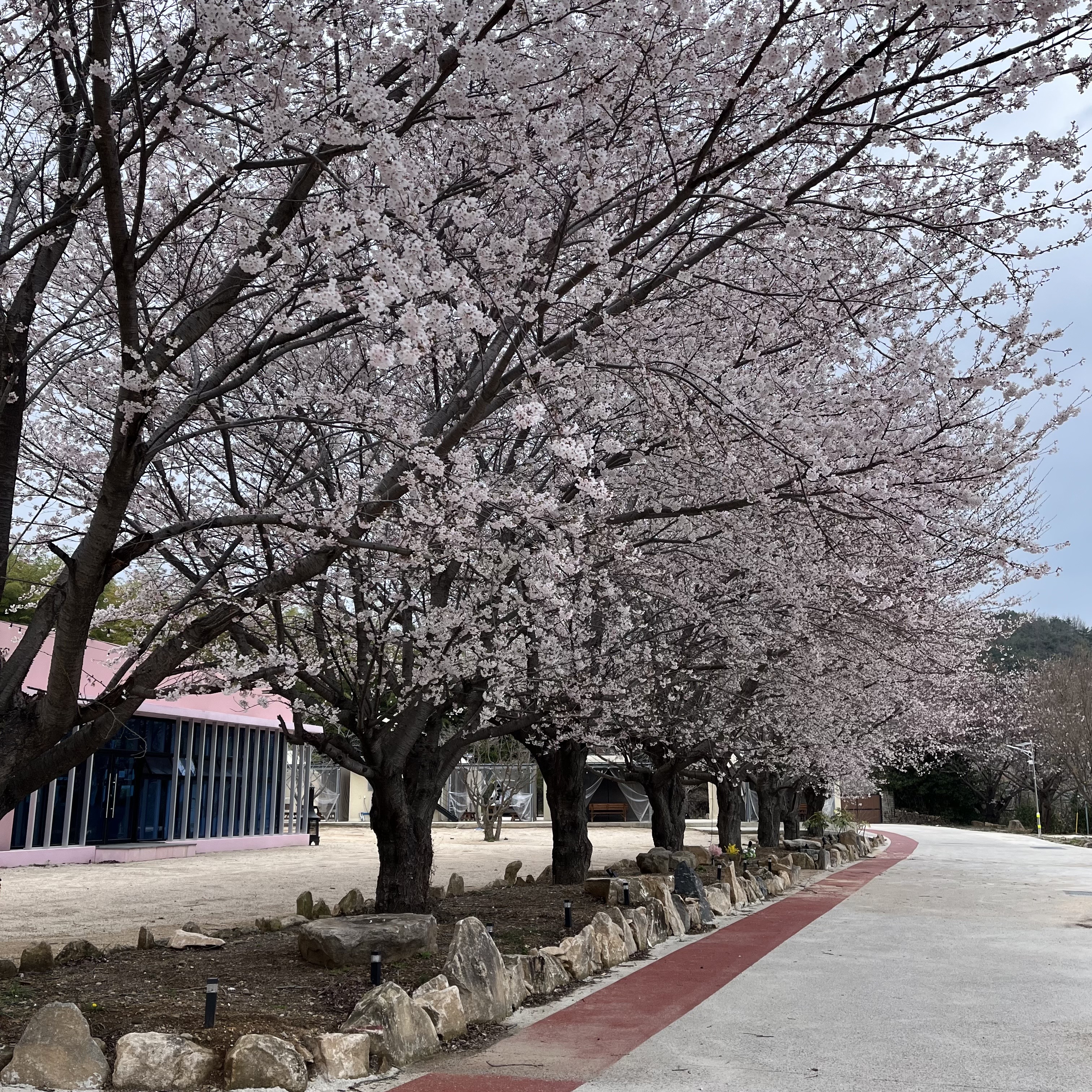 시선글램핑