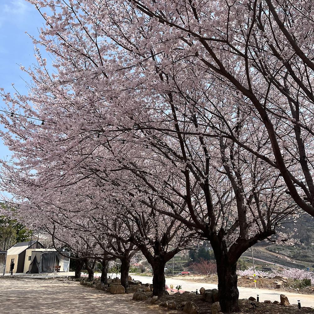 시선글램핑