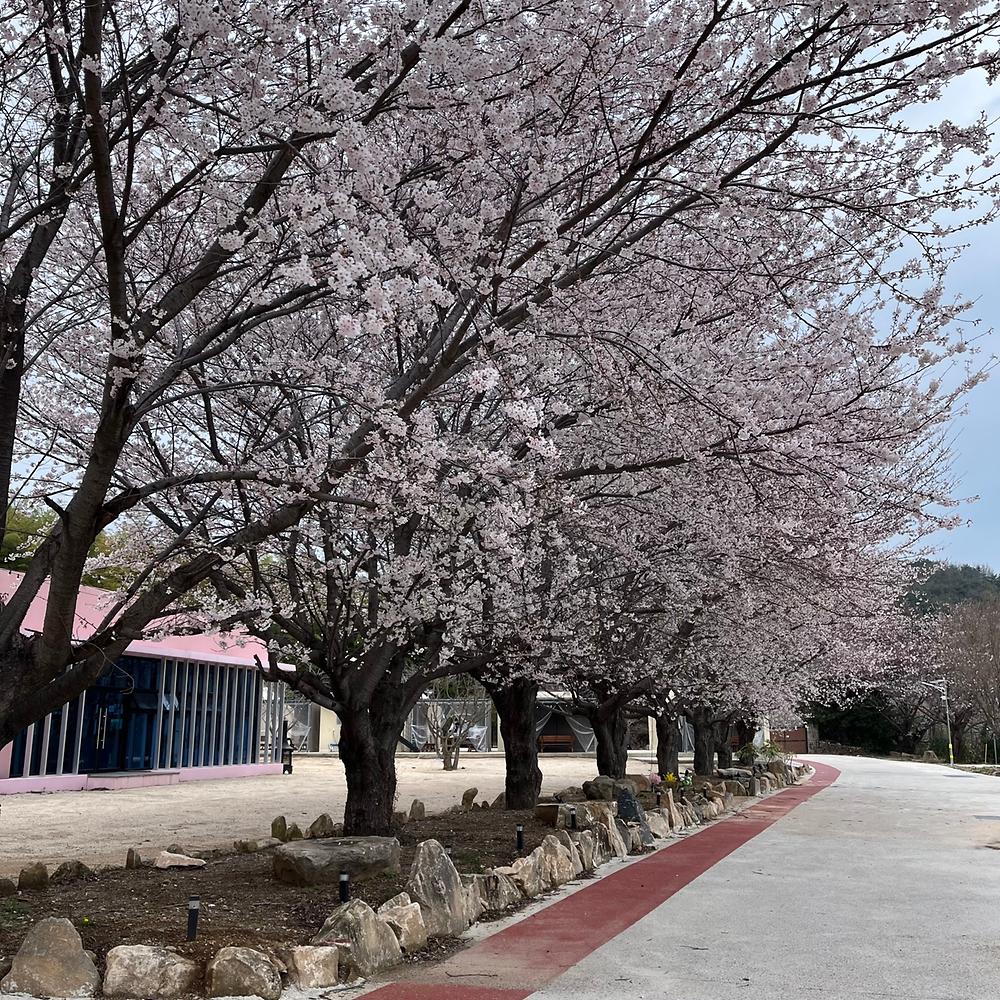 시선글램핑