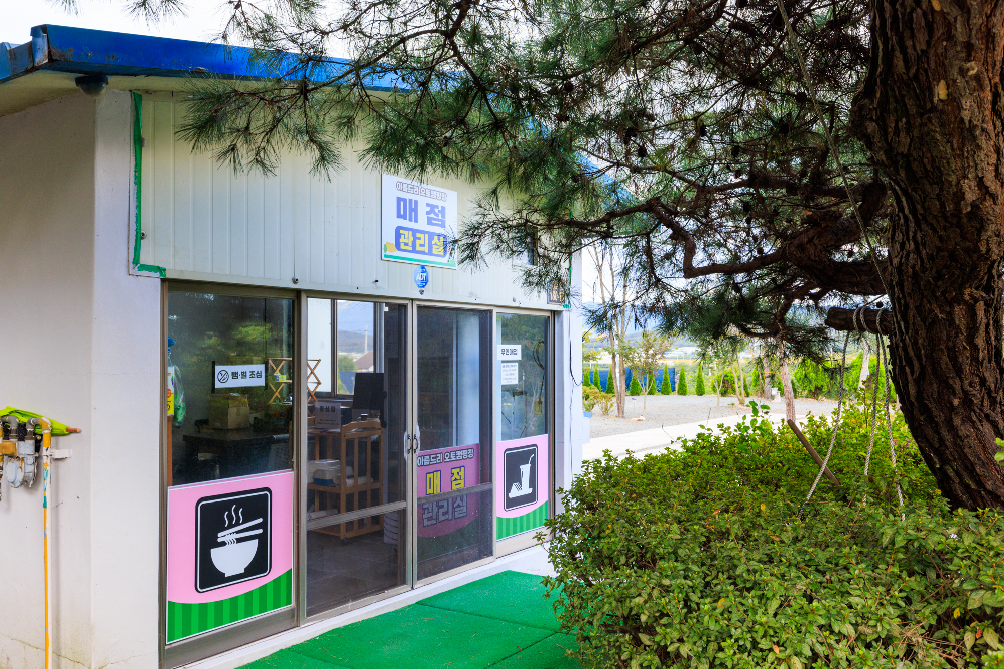 아름드리 캠핑장