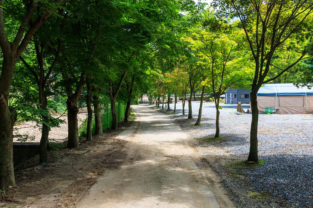 벌곡 산속 캠핑장