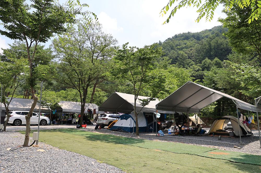 원주 우리 캠핑장
