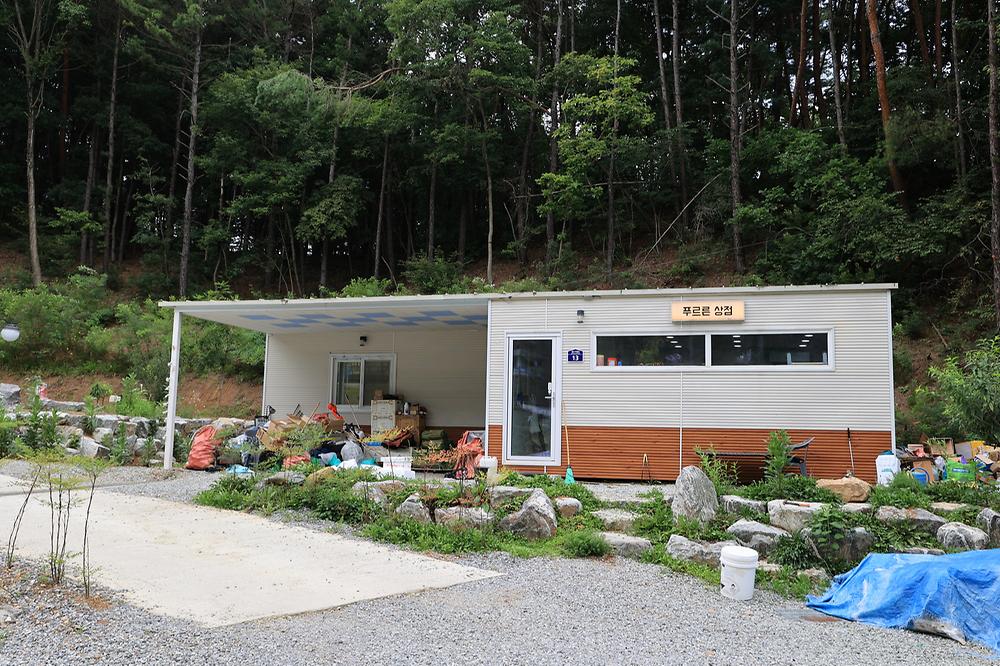 푸르른 캠핑장