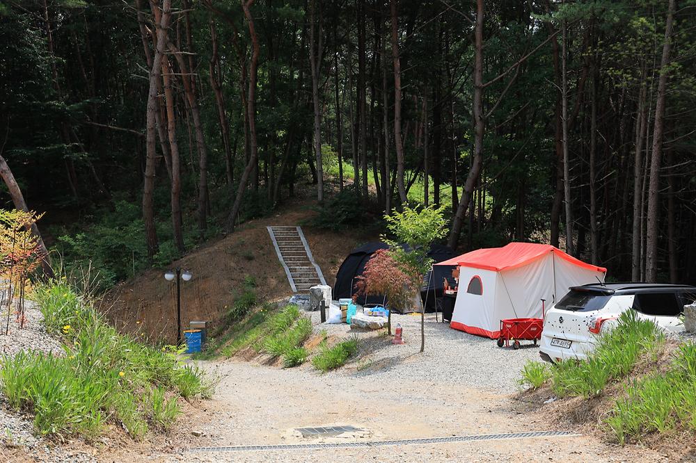 푸르른 캠핑장