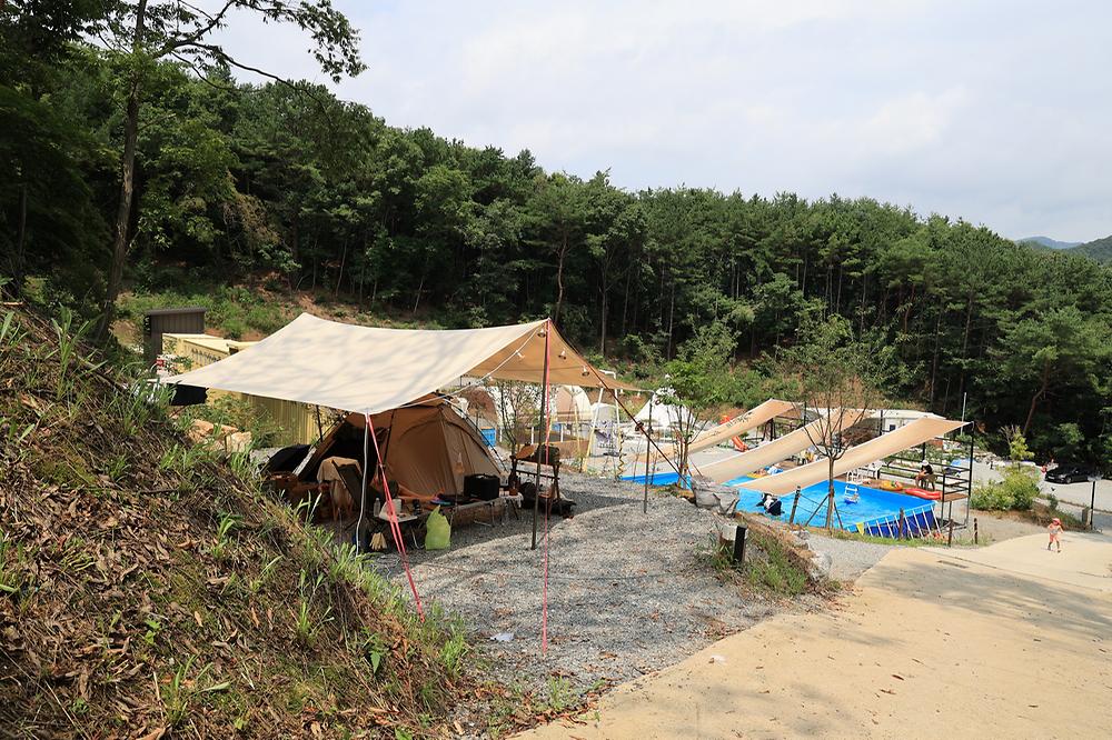 푸르른 캠핑장