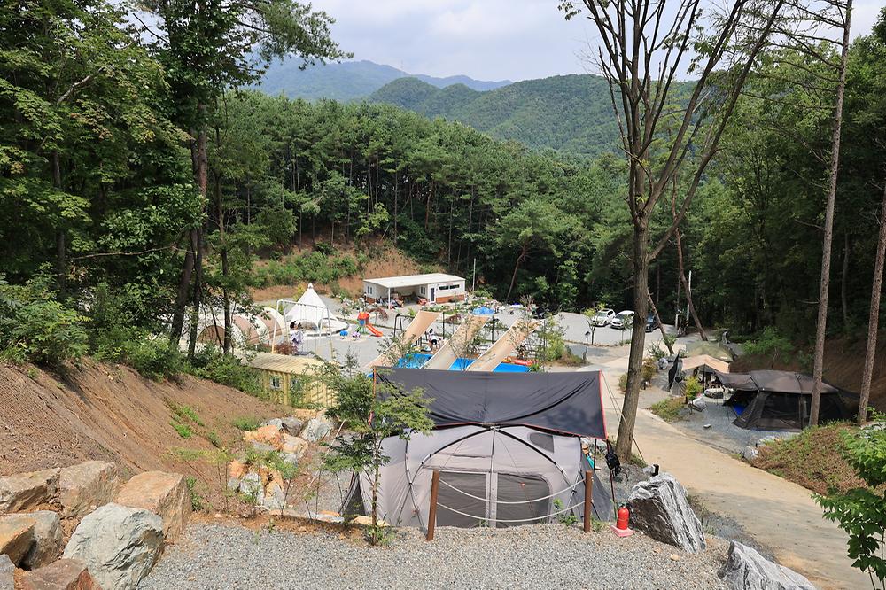 푸르른 캠핑장