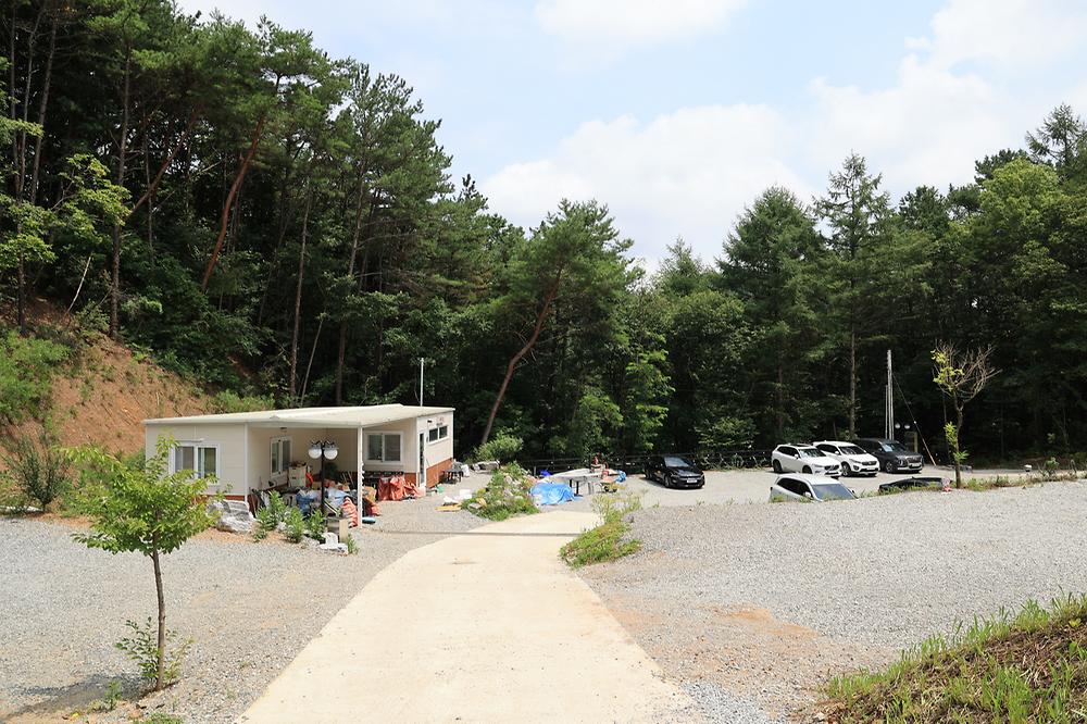 푸르른 캠핑장