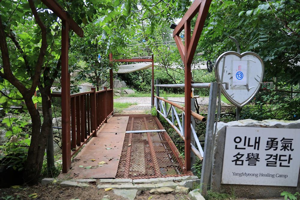 양명힐링캠프
