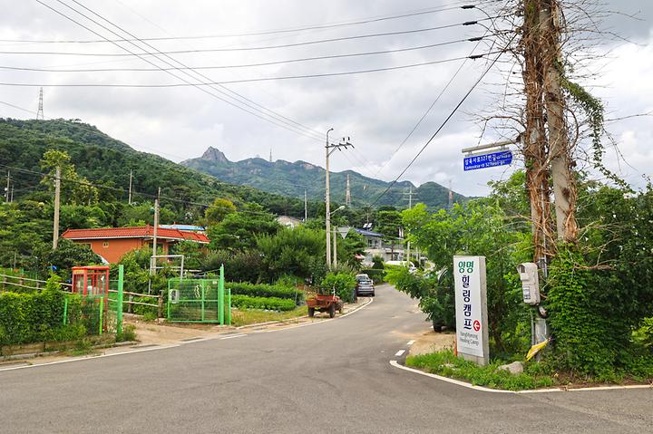 양명힐링캠프