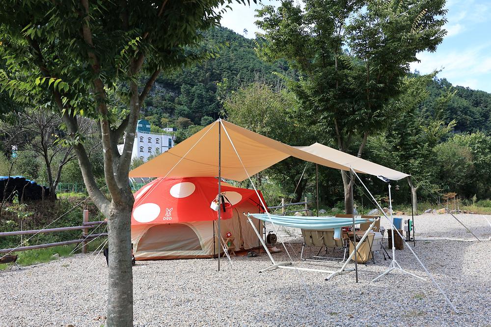라만차의 돈키호테 캠핑장