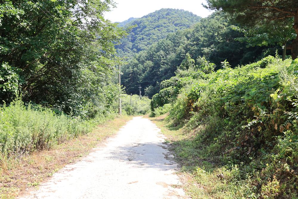 (주)산들링크